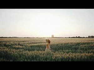 free video download pexels no copyright