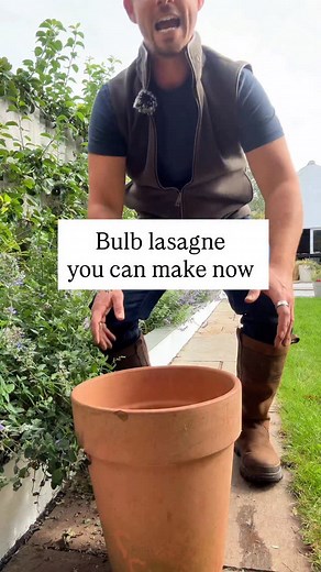66K views · 3K reactions | How to make a bulb lasagne Let’s start...