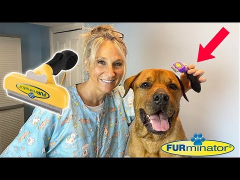 Furminator Review & Demo