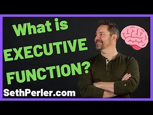 What is EXECUTIVE FUNCTION, in Plain English, (a quick version)