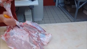 236K views · 1.3K reactions | Angajăm persoane serioase în Olanda la...