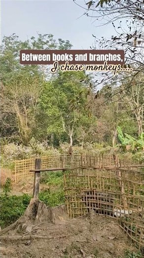 Between books and branches,😁