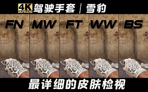 【CS2】起源2全网首发！驾驶手套 | 雪豹 全部磨损游戏中检视 |崭新 | 略磨 | 久经 | 破损| 战痕