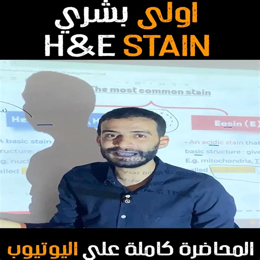 HISTOLOGY-H&E Stain اولى طب بشري | Dr Kandel Histology