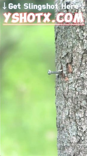 Slingshot Accuracy Test: Hitting Nails at Every Angle