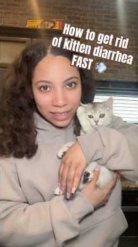 How to Fix Kitten Diarrhea FAST 💨 #catshorts