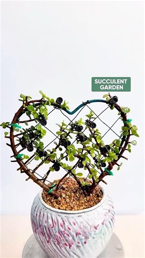 Creative Succulent Styling Ideas You'll Love 🪴✨