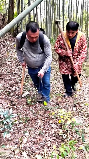 High-Tech Bamboo Shoot Detection & Harvesting #shorts