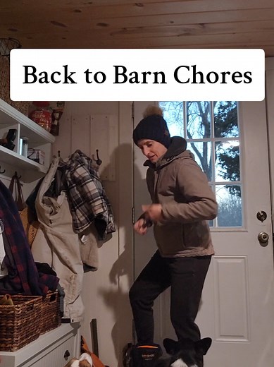 Back to Barn Chores: A Farmer's Evening Routine