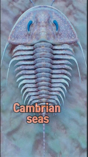 Something Just Spooked This Trilobite…