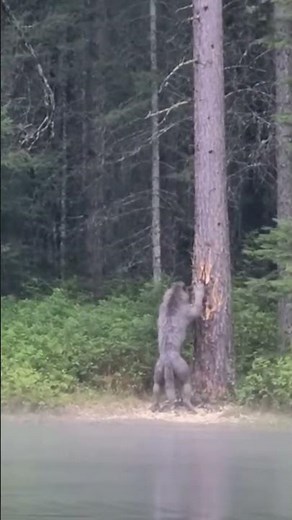 Is this Dogman found on TikTok real or an AI? 😱
