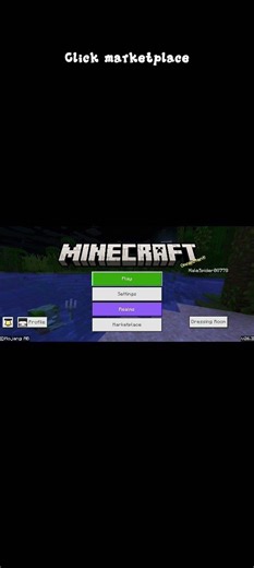 How to change your Minecraft skin from beautiful characters, 2 different characters