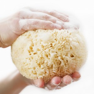 [Hot Item] 8-9.5cm 3.2-3.8 Inches Honeycomb Greece Natural Sea Sponge for Facial Cleaning Makeup and Body Bath