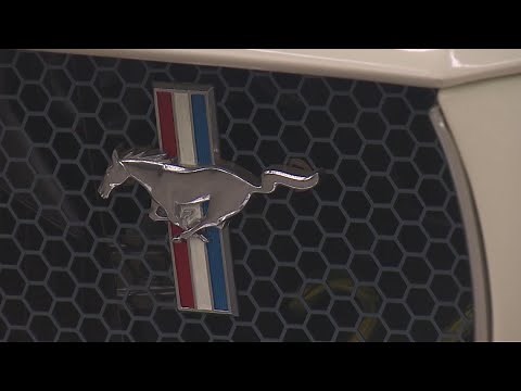 Largest private collection of vintage Ford, Shelby cars heads to auction