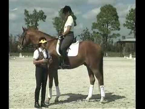 Dressage Teacher Jane Savoie and The "Connecting Half Halt"