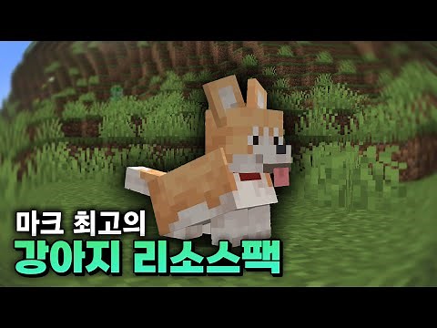 마크 최고의 강아지 리소스팩..!
