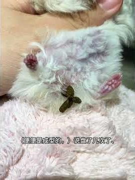 Lightning protection The money was returned the anger was endured but the brat was sti