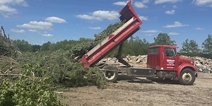 What you should know about disaster cleanup guidelines