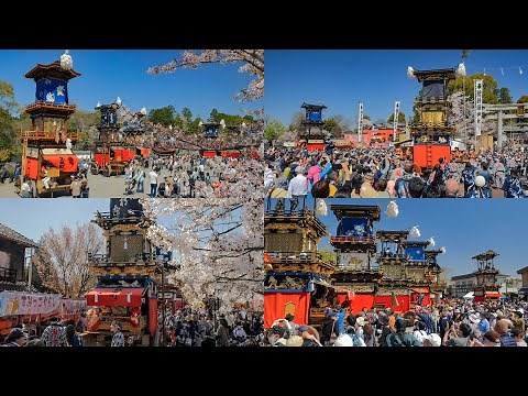 [ 4K ]満開の桜と犬山祭り：ユネスコ無形文化遺産 Inuyama Festival in JAPAN , UNESCO Intangible Cultural Heritage
