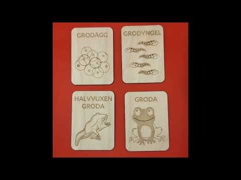 How to utilise the different layers in XTools Creative Space