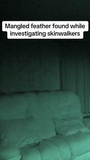 Was this #feather left as a threat? #skinwalker #ghost #cryptid Watch the season premiere of #GhostAdventures tonight at 9p on Discovery!