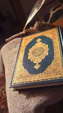 Islam is the only Solution | @abusaaddofficial