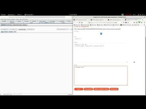 DOM based cookie manipulation (Video solution)