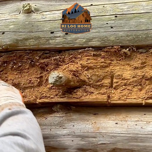 Don’t let this happen to your log home. This footage shows the impact of years of neglect: bug intrusion and severe rot that we uncovered on a recent repair job—damage that regular maintenance could have prevented. At RI Log Home Restoration, we’re here to help you protect your investment, preserve your home’s structure, and avoid costly repairs down the road. RI Log Home Restoration 📞 401-297-9274 📧 riloghomerestoration@gmail.com 💻 riloghomerestoration.com #riloghomerestoration #SashcoLogHom