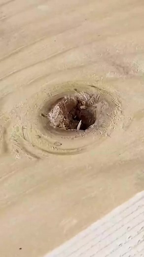 Wood holes fix technique _diy _wood _hole _fix #Tipstricks #diy #tools | tips and hacks2