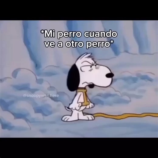 Snoopy's official club | Snoopy getting angry 😡🐶😤 - - - #snoopy #snoopylover #snoopygrams #snoopydog #snoopymuseum #snoopylove #snoopycollection #snoopyfan... | Instagram