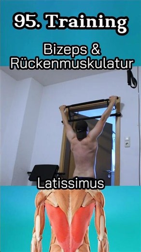 95. Training - Rücken & Bizeps