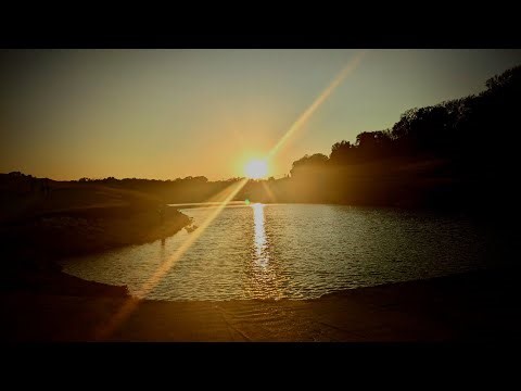 Project Sparrow case 1