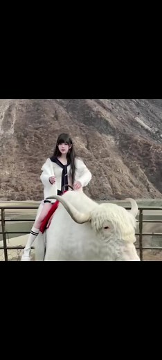 Life in China on TikTok