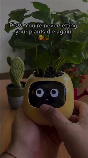 This Cute Robot Takes Care of Your Plant 🥹