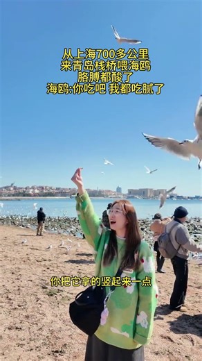 Rescued Seagull Flies Free in Qingdao: Heartwarming Rescue