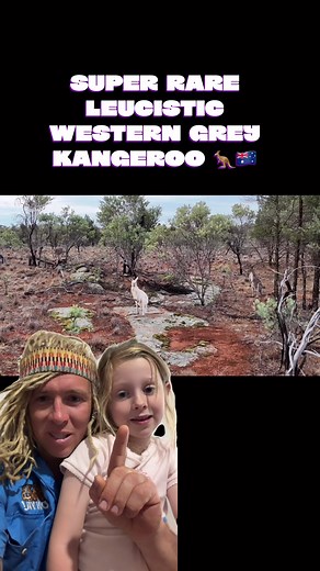 Rare Leucistic Kangaroo Spotted in Western NSW