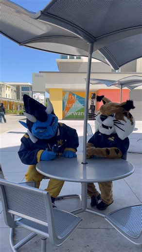 10K views · 59 reactions | Blue Devils, your next chapter might be...