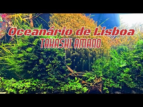 OBŘÍ AKVÁRIUM V LISABONU! 🤯Životní dílo Takashi Amano + NEJLEPŠÍ Z OCEANÁRIA