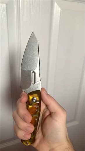 The CIVIVI Propugnator