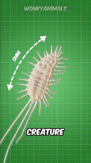 These Insects Are In All Your Food 🩸