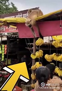 Mehndi Design on Reels