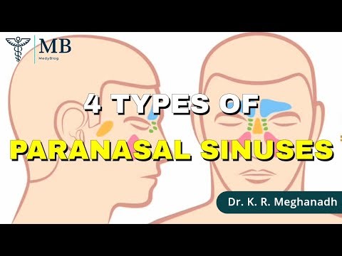 What are the 4 Pairs of Paranasal Sinuses?| Dr. K. R. Meghanadh | Medyblog