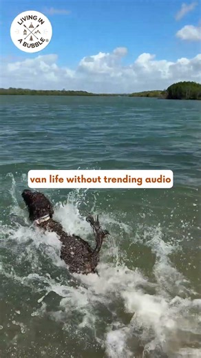 Van Life 101: Must-Have Gear for Life on the Road