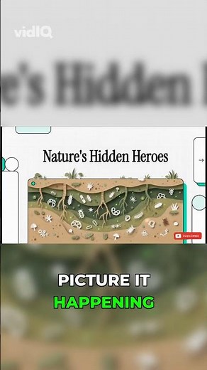 Ecosystems Don't Collapse How You Think!