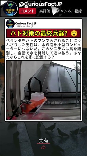 ハト対策が想像の斜め上だった 😅