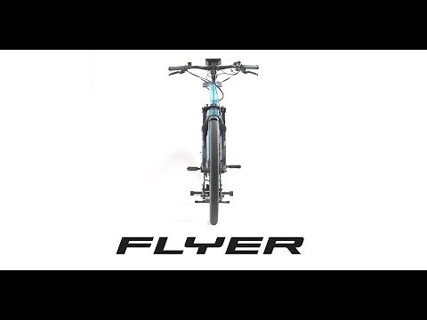 FLYER E Bikes FIT Tutorial Grundlagen Display D1