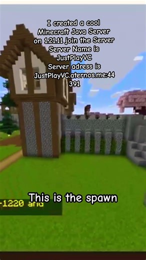 I created a cool Minecraft #viral #minecraft #java #cool #server #coolminecraftservet