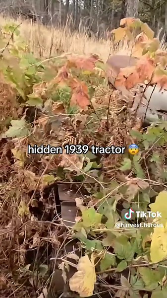 Unearthing a 1939 Abandoned Tractor in the Wild