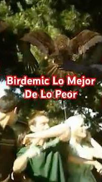 Birdemic: Shock and Terror (2010)