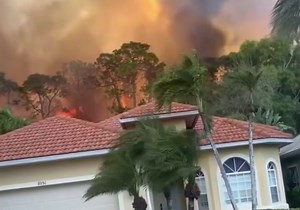 Video shows intense flames around Florida homes as dozens of wildfires burn across state